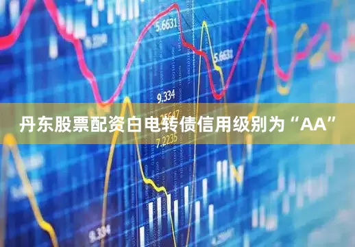 丹东股票配资白电转债信用级别为“AA”